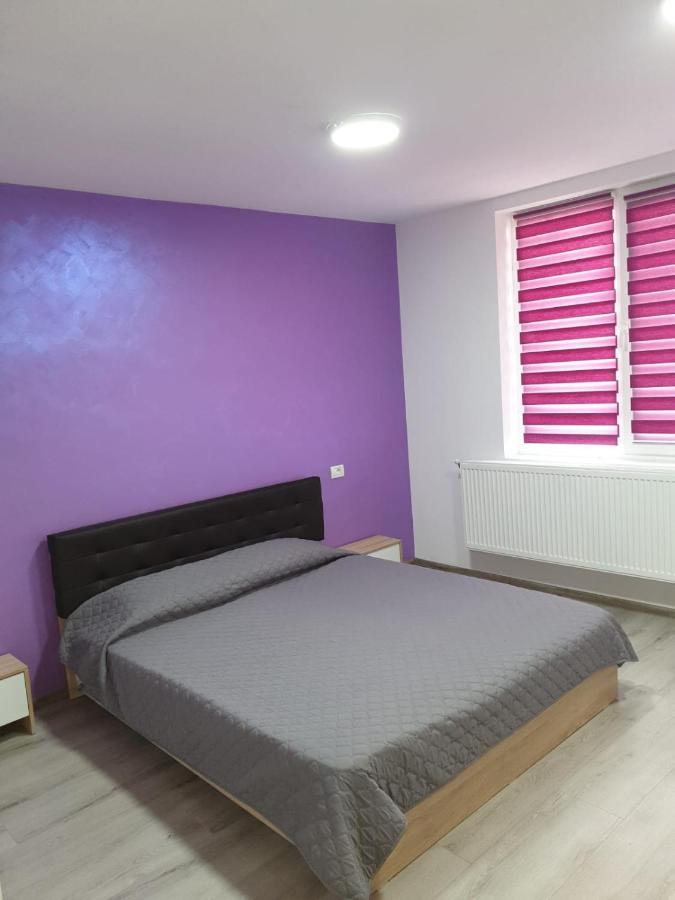 Apartament Negris Bîrlad Екстериор снимка
